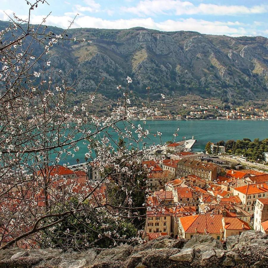 Old Town Boskovic Apartment Kotor Ngoại thất bức ảnh